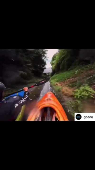 They have a need for speed