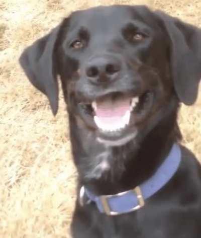 MRW I'm in line at a busy Subway and the guy in front of me orders 8 subs, all toasted.