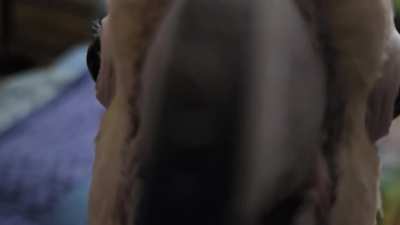 This is my new favorite subreddit