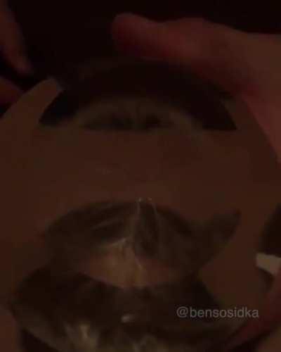 Lightning in a cylinder