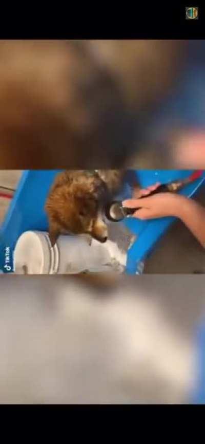 Don&rsquo;t mind the poor editing