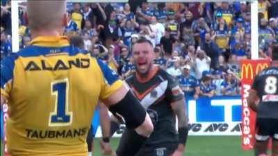 Live Tigers reaction