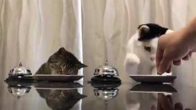 My favorite video ever