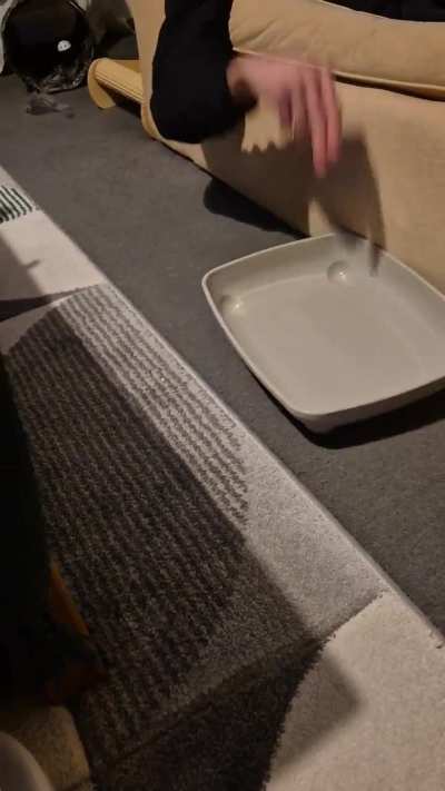 Her new favourite game