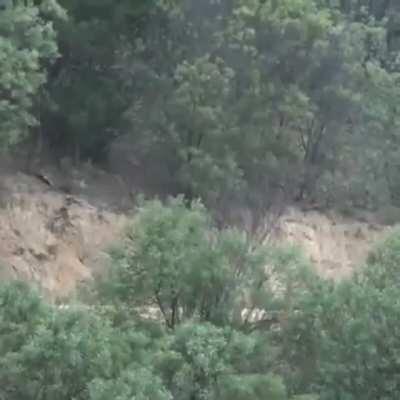 Best sounding modern rally car?