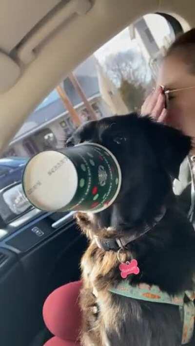 1st time having a puppuccino did not disappoint