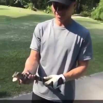 Mama croky is coming for you