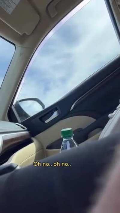 This is so wholesome! (Not mine, but I wish to have one)