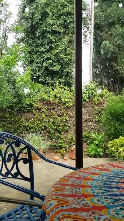 My patio has an aluminum awning that sounds amazing when it rains.