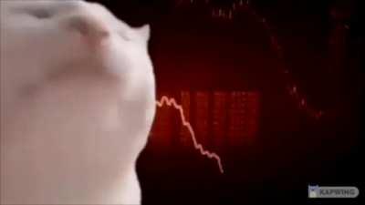 Brief recap of today's market action