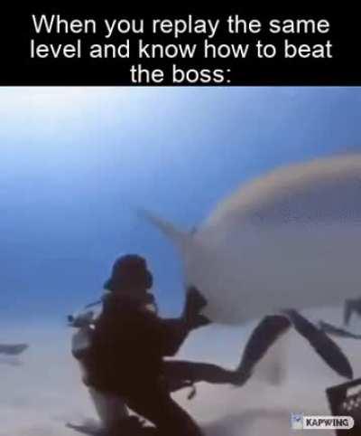 Shark roller, the roller of sharks, undefeated by sharks. He made the shark dancing meme a while ago