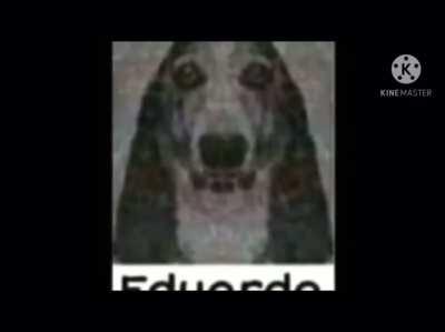 Si el Moai lo ve me tiro de un puente