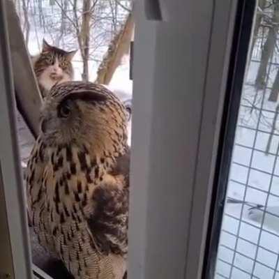 Dude, Holy Sh!t, whats that!