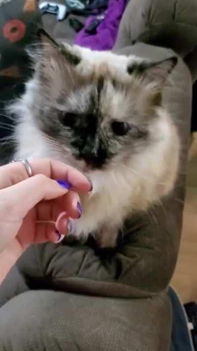 This is how she always requests attention :)