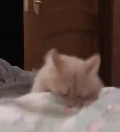 This belongs here i think