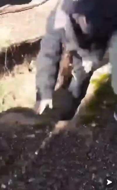 HMFT after stepping on loose concrete.