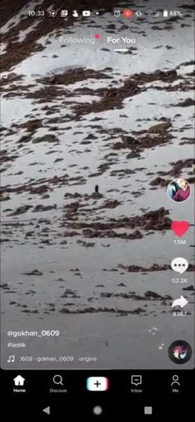 A traitor setting a tire free in the mountains. I don't think he understands the consequences of his actions