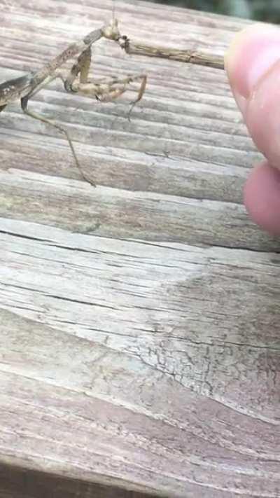 I fed him some lunch