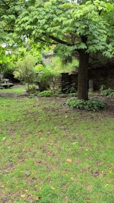 Woke up feeling extra horny