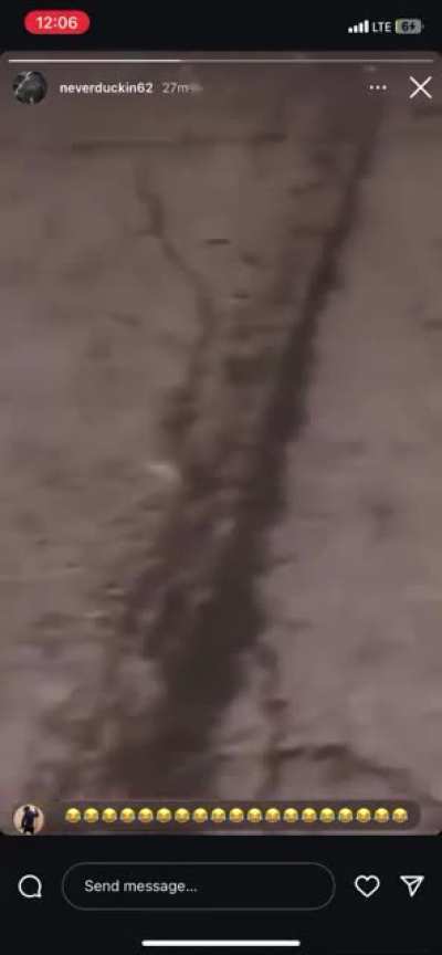 STL UNDEFEATED 😭🐥