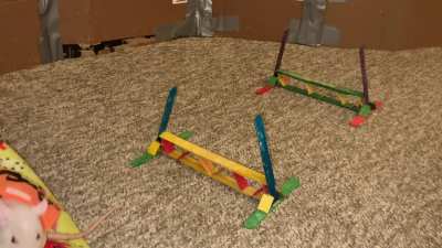 My amazing pet rat Carrot practicing flyball in her pumpkin costume!