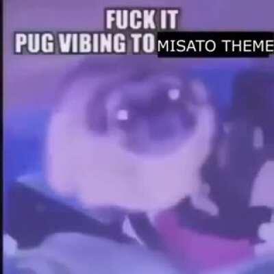 Just pug vibing to misato theme