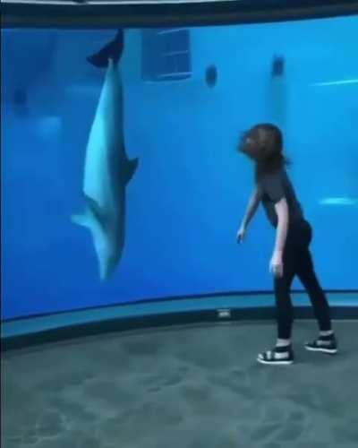 When a rerun is better than the original