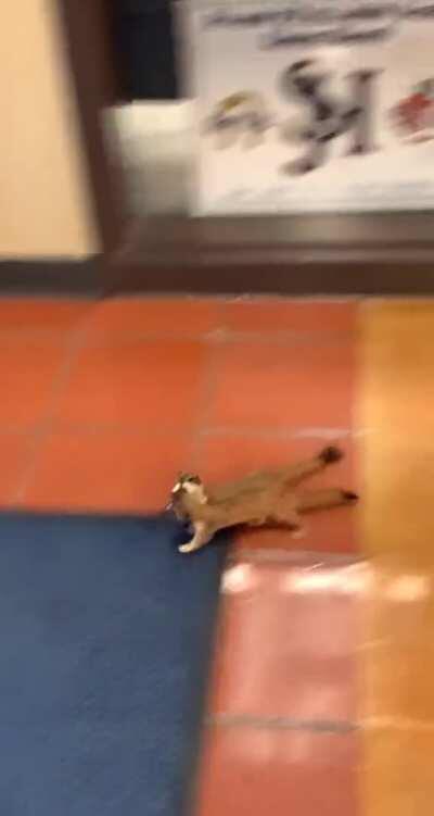 One mate helping out another!!