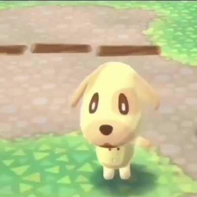 MoaiGreddit - Video #9334