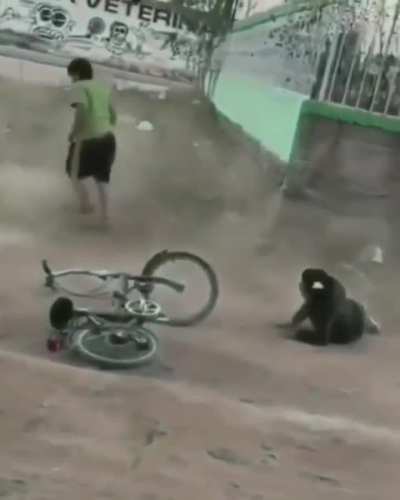 mala bak ZUHASHJALDKSMDMSDK