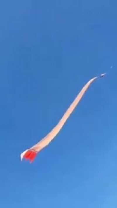 ♫ fly me to the moon ♫