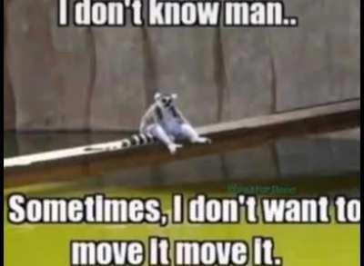 when Caleb dont post a daily video