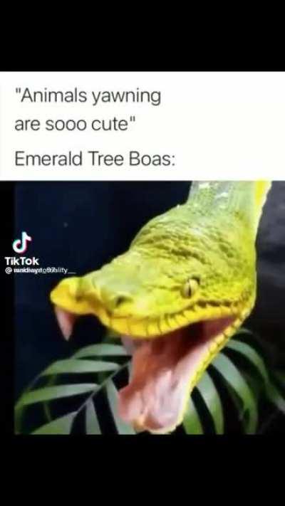 The gasp that came out my mouth bro…