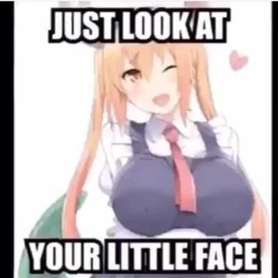 Having anime girls as pets is hard.