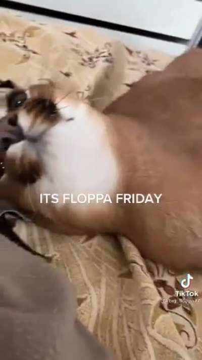 FLOPPA FRIDAY