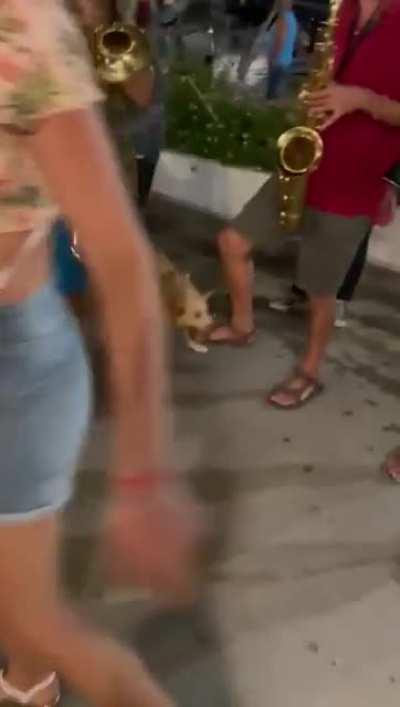 He doesn't respect artists!