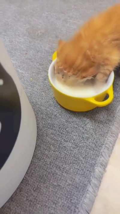 You're not you when you're hungry