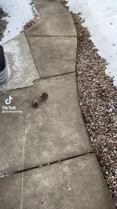 It’s right over there