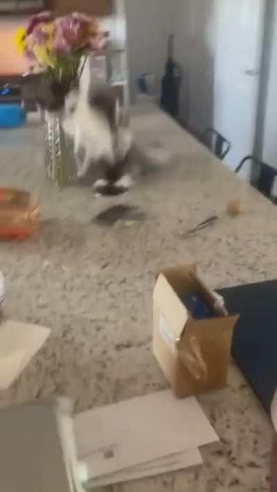 What sorcery is this?!