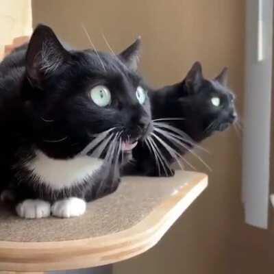 Using our satellites against us