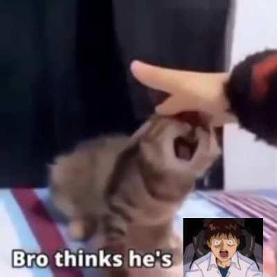 Bro think he caused 3rd impact 🤦