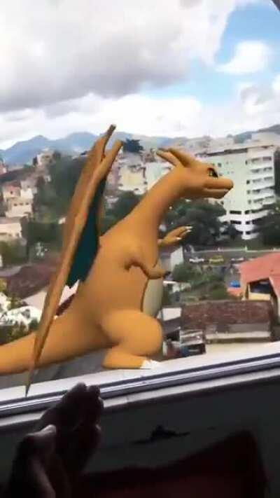 SAI DAÍ CHARIZARD