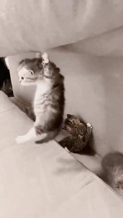 Sorry sir, you have a cuteness infestation