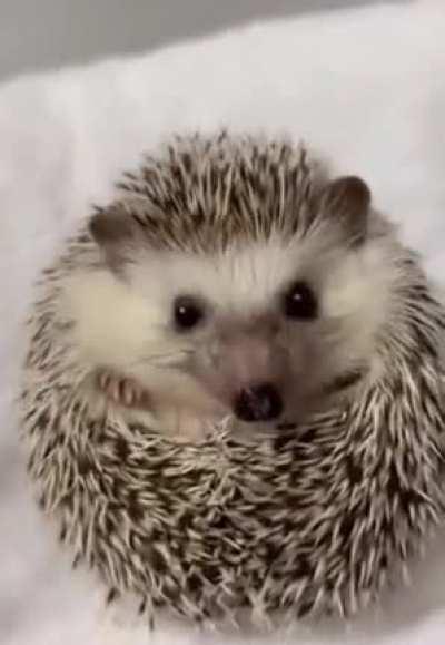 When the waiter brings me my food.