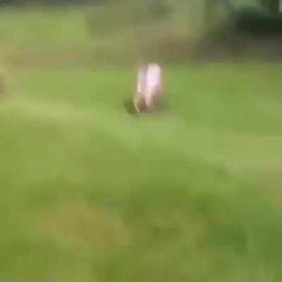 “Why do women live longer?”