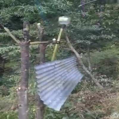 he is comig new york december 3rd 2012 he is comig he is comig he is comig new york december 3rd 2012 ALL RISE POPMAN ANTHEM ALL RISE HE IS COMIG IS IS COMIG