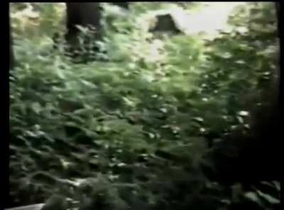 Finneytown- A History