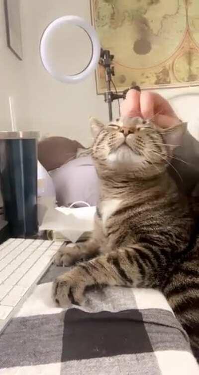 He’s just trying to get those emails out