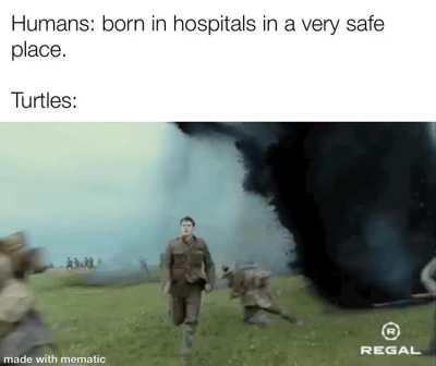 It’s like a warzone out there