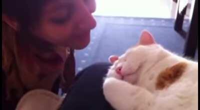 Kisses Activate The Cute. 😻